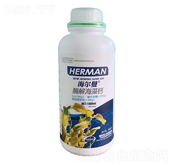 ø�⺣���}-������-����˹