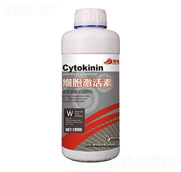 ��(x��)��������-�n��-�n��