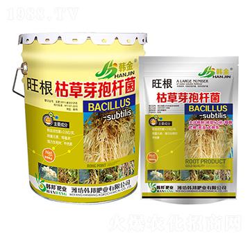 �����ݲ�ѿ�ߗU��--�n