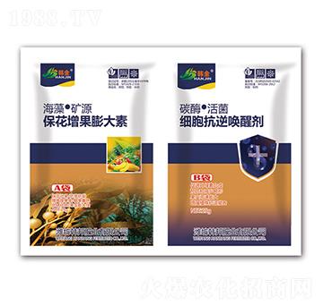 �������������-��(x��)����