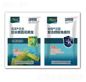 ���L��ֱ��Ӣ��+��(f��)���P