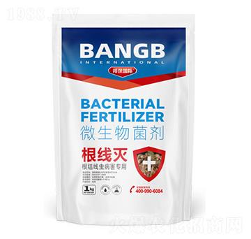 ���Y(ji��)��(xi��n)�x(ch��ng)������(zhu��n)��΢�������-����(xi��n)��-���(gu��)�H