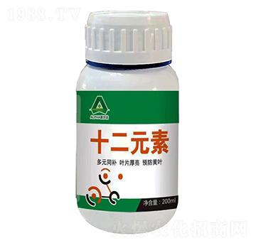 ʮ��Ԫ��-�۠���