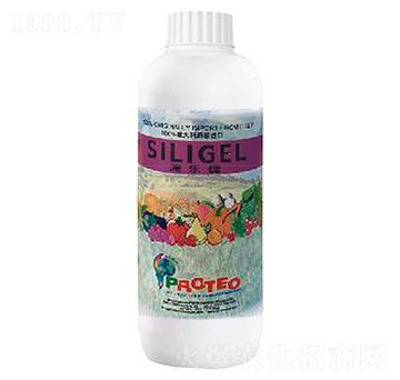 ʩ����-���_�ٚW