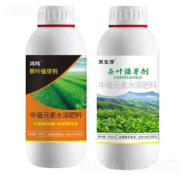 ���~��ѿ��-���Q