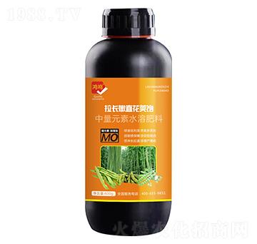 ���L��ֱ���v�-���Q