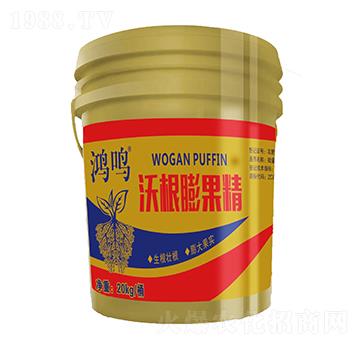 �ָ������-���Q