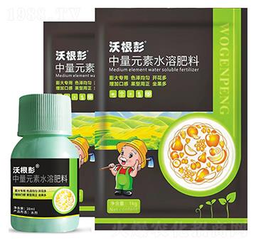 ����Ԫ��ˮ�ܷ���-�ָ���-���Q