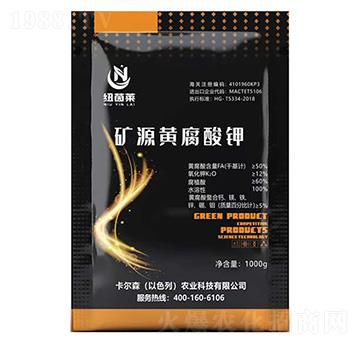 �VԴ�S�����1000g-�~���R-����ɭ