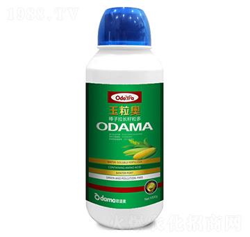 �����W-�������L(zh��ng)������-�W����