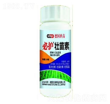 ������-���o-����������