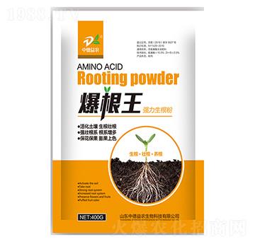 ������-��(qi��ng)��������-�е����r(n��ng)