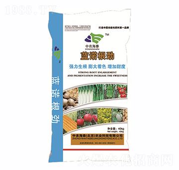 �{(l��n)�Z����-���r(n��ng)��̩