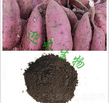 �t�팣�÷�-ӭ������