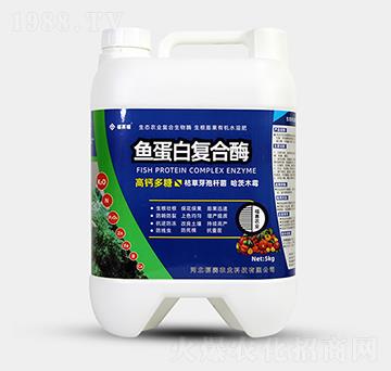 5kg�~(y��)���׏�(f��)��ø-��ِ��