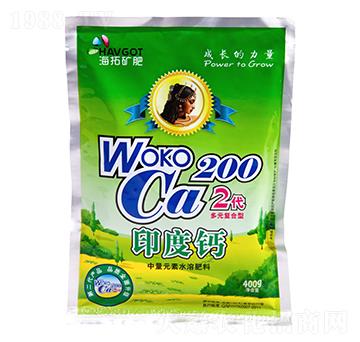 ����Ԫ��ˮ�ܷ���-ӡ��