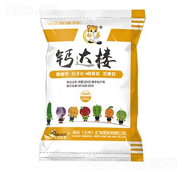 �Ǵ��}-�}�_��-����