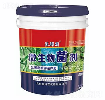 ΢�������-ʢ���r(n��ng)