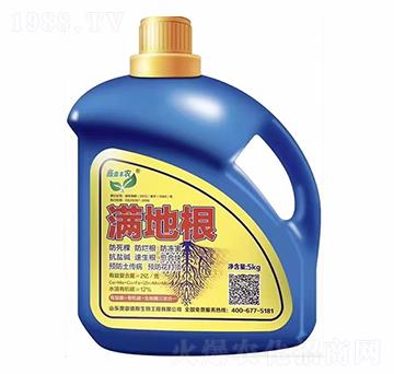 �M�ظ�-�W�׵�˹