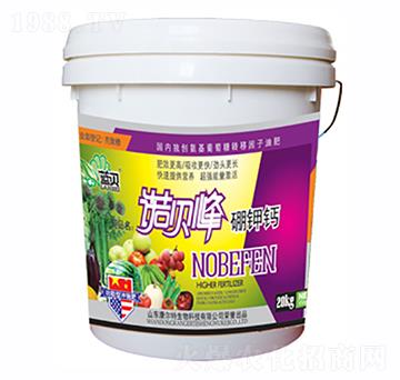 �Zؐ������}-������