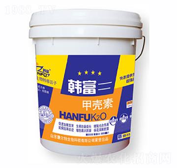 �n���ך���-������