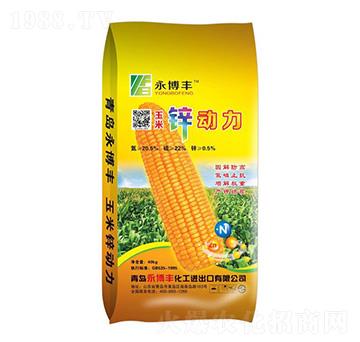 �����\����-�����S