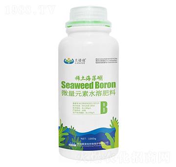 ϡ��������-�m�Z��-������