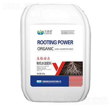 ��������-�m�Z��-������