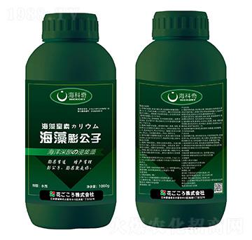 ��������-������