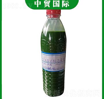 Ӣ��(gu��)�G�۵ú���ԭҺ