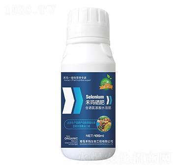 �̬�δ��֮������-�̬�����