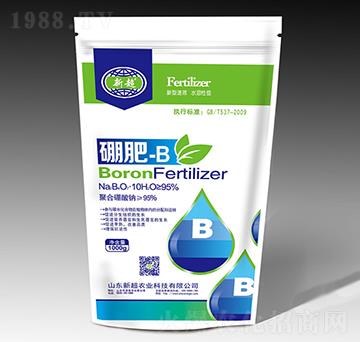 ���-B-�³��r�I(y��)