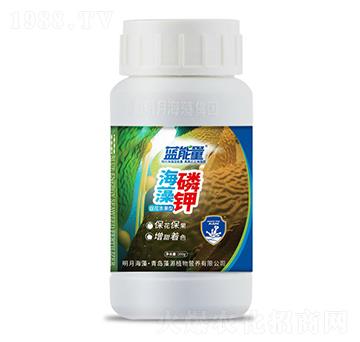 200g�ٻ��S���ͺ������-�{(l��n)����-��Դֲ��