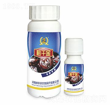 �R�㌣���~���-��ǧ��-�������r(n��ng)