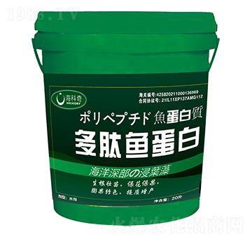 �����~����-������