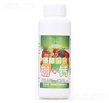 ��+�}-��������-�W��