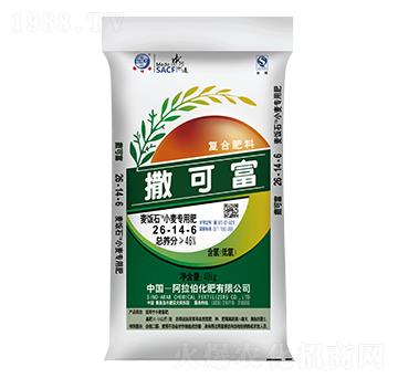 С����(zhu��n)�÷�26-14-6-���ʯ-���ɸ�-����������