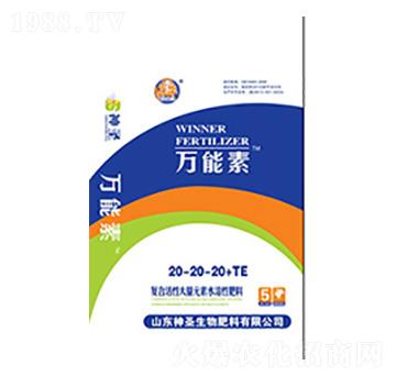 �~���20-20-20+TE-��ʥ����