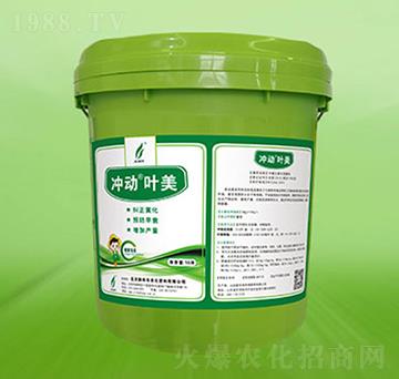 �_���~��-�º��S