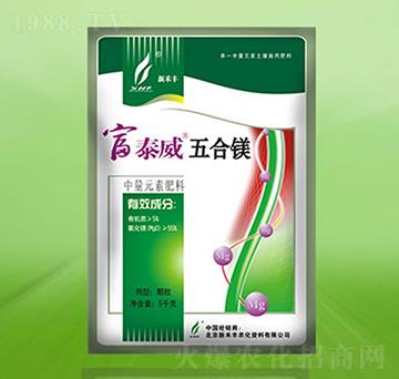 ����V-��̩��-�º��S