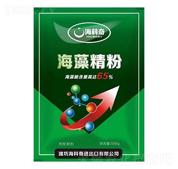 ���徫��-������