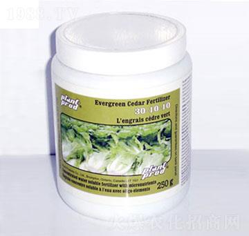 �ߵ���30-10-10-���_��-�������r�Q