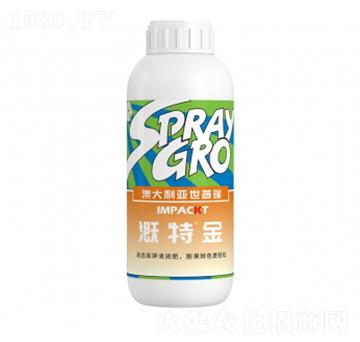 ���ؽ�-�����ط�