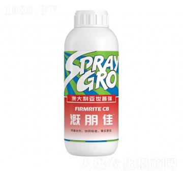 �����-�����ط�