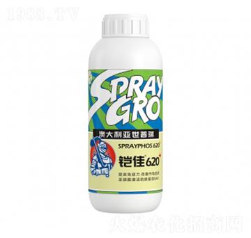 �z��620-�����ط�