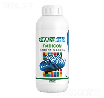 �G������-�����ط�