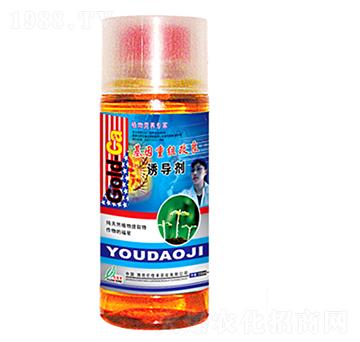 �T����-�|���S