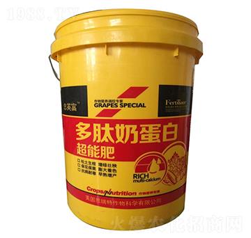 �����̵��׳��ܷ�-�|���S