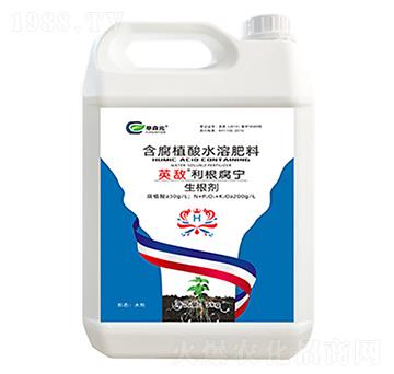 ������-Ӣ������������-��ɭԪ