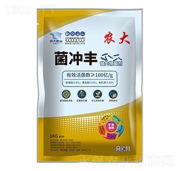 ���������ϵ��-���_�S-�r�����B(t��i)